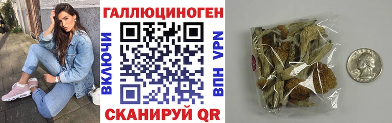 OMG зеркало Светлый Псилоцибиновые грибы MAGIC MUSHROOMS купить наркотики цена